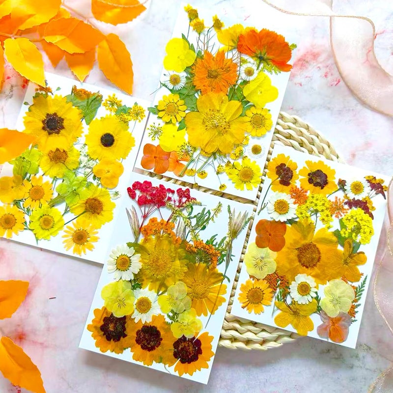 suaukey 94 Pcs Yellow Pressed Dried Flowers for Resin, Real Natural Bulk Dry Wildflowers Leaves Perfect for Epoxy Molds, DIY Crafts, Home Decor, Soap Candles Jewelry Making - Image 2